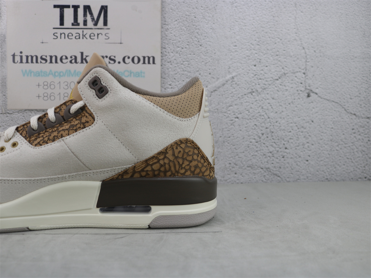 Air Jordan 3 Retro Palomino CT8532-102